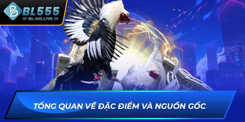 Tổng quan về đặc điểm và nguồn gốc