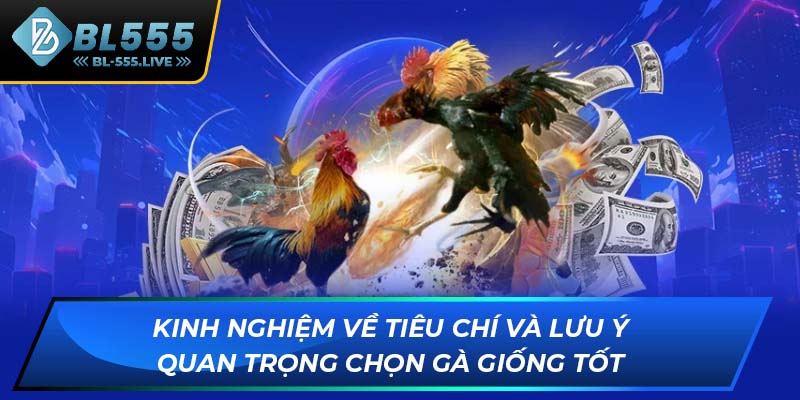 Kinh nghiệm về tiêu chí và lưu ý quan trọng chọn gà giống tốt
